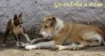 /album/fotogalerie/hratky-dzan-a-gwen-zahrada-jpg/